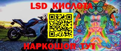 твердый Моздок