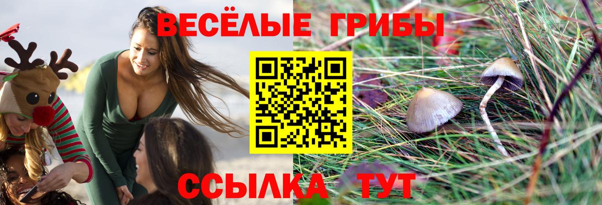 Галлюциногенные грибы MAGIC MUSHROOMS  Псилоцибиновые грибы MAGIC MUSHROOMS  Тимашёвск  наркота  Вход с VPN 